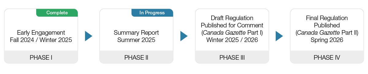 Graphic of the project timeline