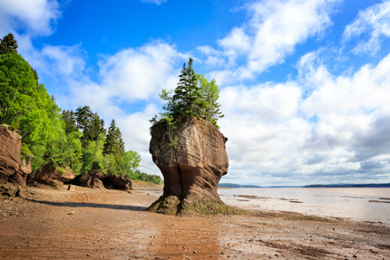 Hopewell Rocks with the tide out on a sunny day