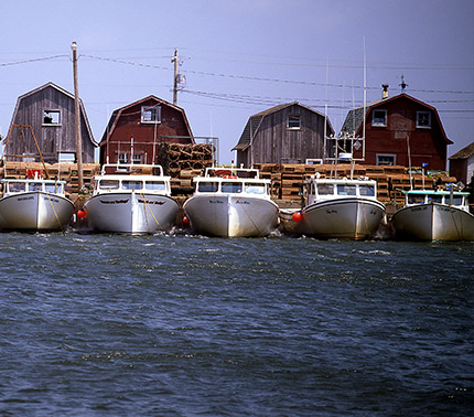Bateaux de pêche amarrés au quai à la brunante, à Malpeque Bay, à l’Île du Prince Édouard.
