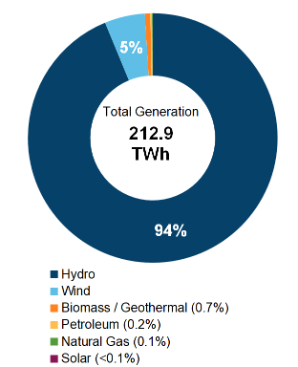 Figure 1: Electricity Generation by Fuel Type (2019)