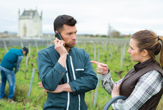 Man and woman talking in vineyard field