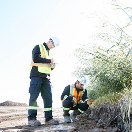 Two CER inspectors are making observations about soil management practices on a construction site. One is standing and taking notes. The other is kneeling down to look at soil and vegetation.