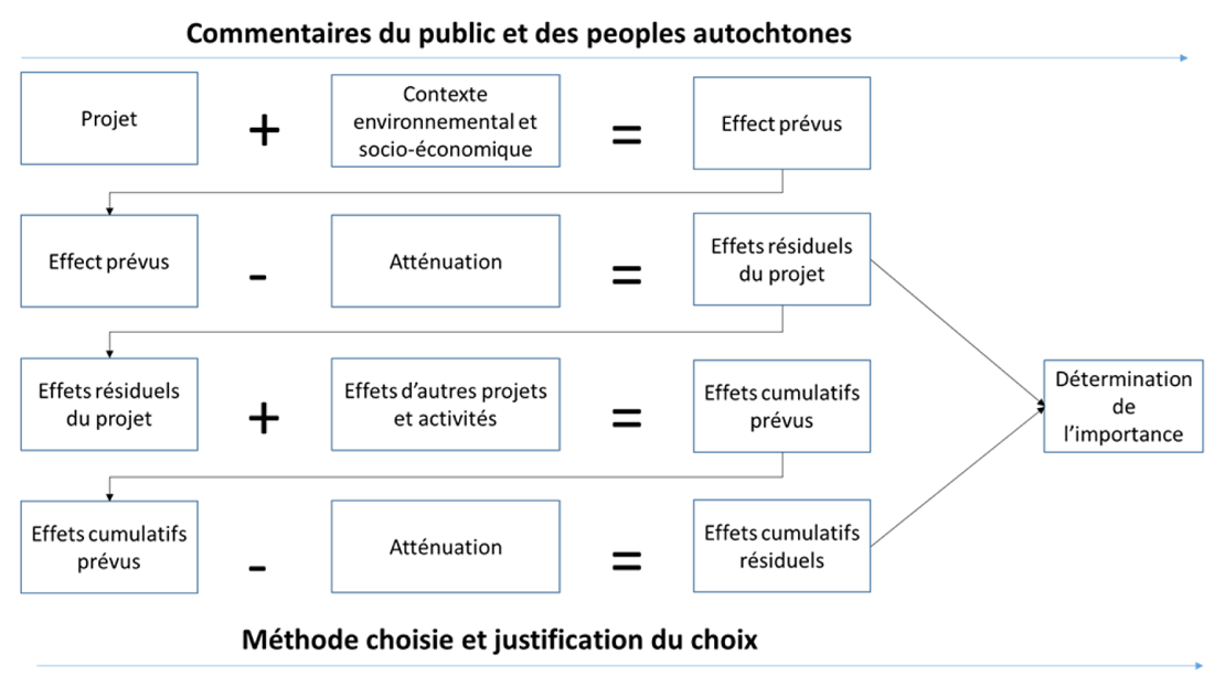 Figure A.2-1 : Processus d’évaluation environnementale et socioéconomique du point de vue du demandeur
