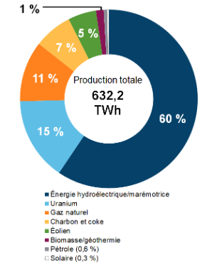 Figure 2 : Production d’électricité selon le type de combustible (2019)