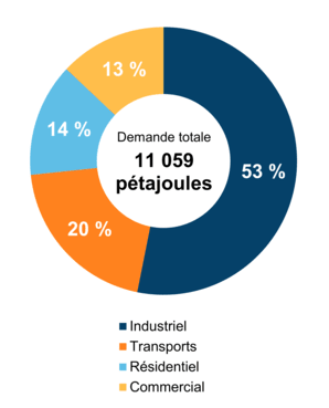 Figure 5 : Demande pour utilisation finale selon le secteur (2019)