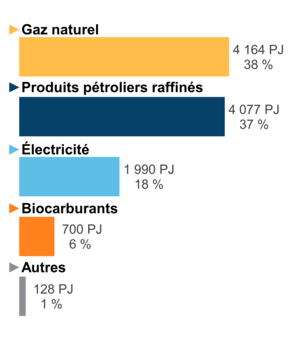 Figure 6 : Demande pour utilisation finale selon le combustible (2019)