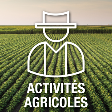 Pictogramme agriculture superposé à une image illustrant un champ de soya au soleil couchant – Activités agricoles