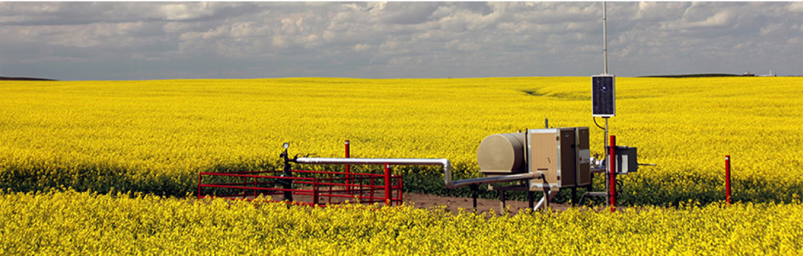 A natural gas well in the midst of a canola field
