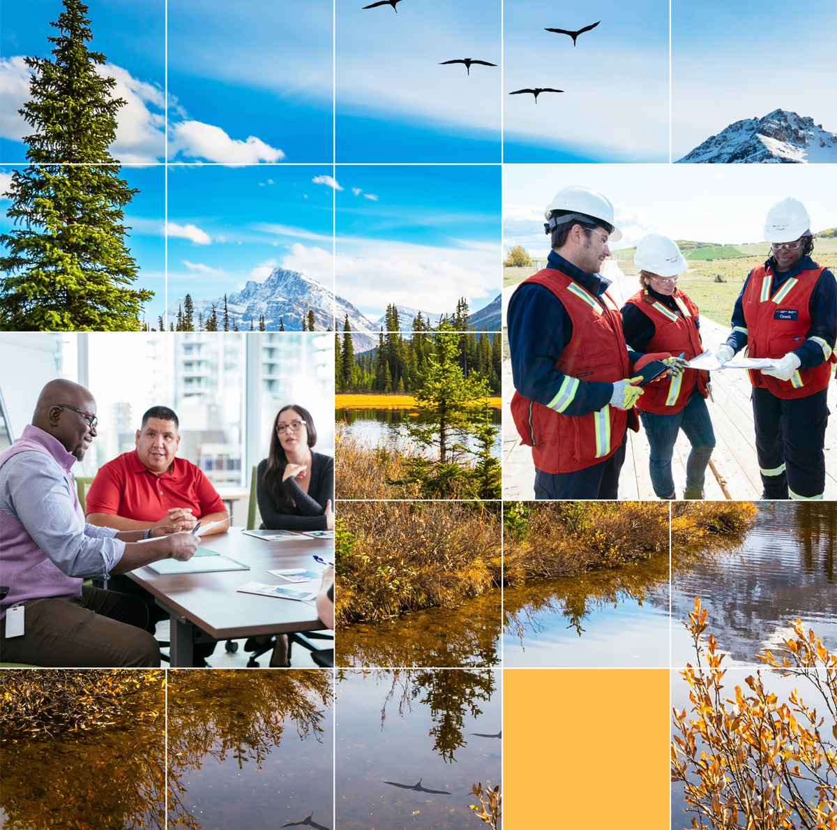 Mountains with blue sky, pine trees, a river and vegetation in autumn; three CER inspectors comparing notes; three people having a discussion at a table at the CER.