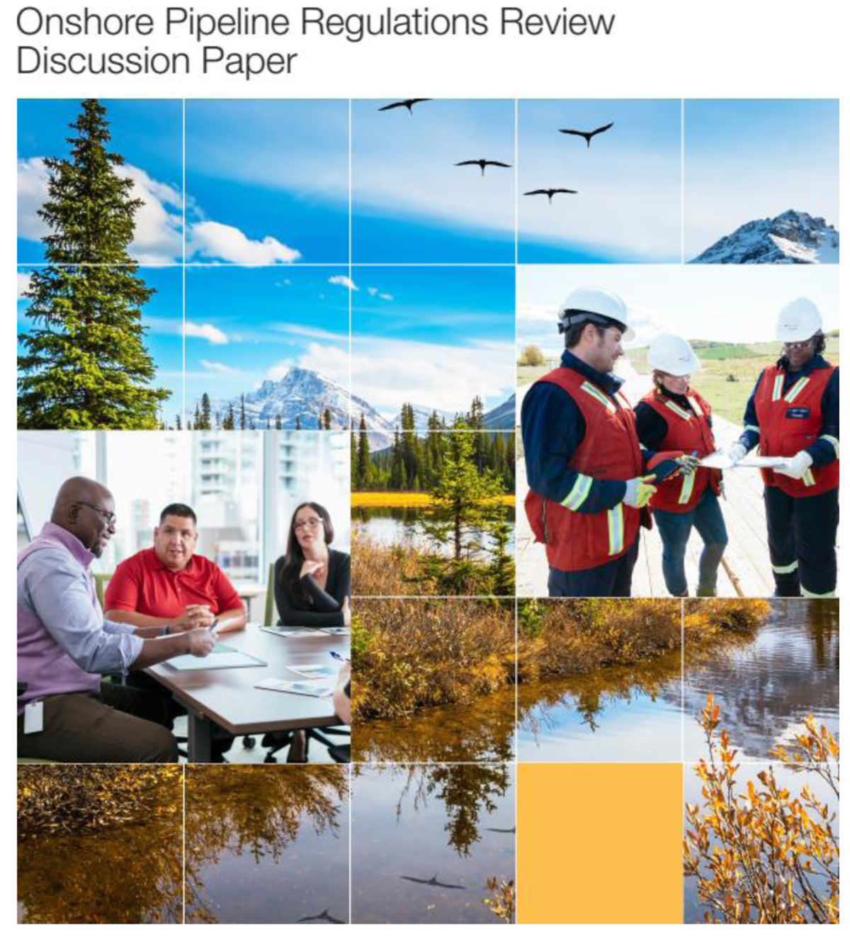 Cover of the OPR Discussion Paper