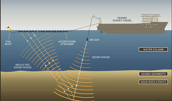 Seismic Survey