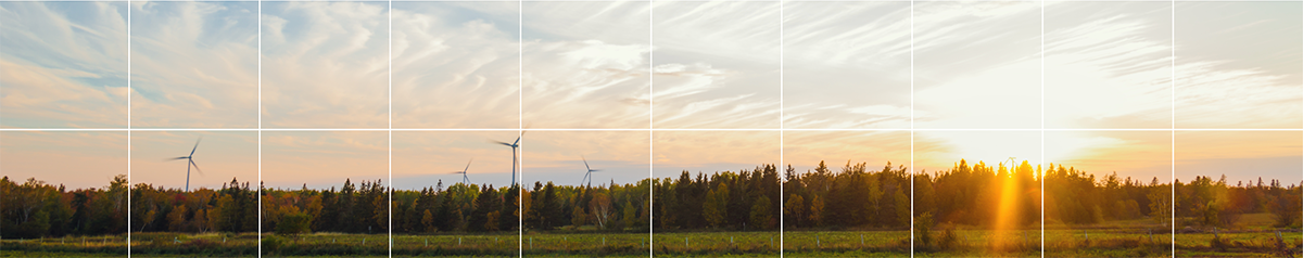 What the future holds