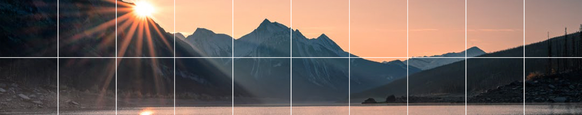 What the Future Holds