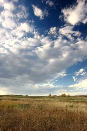 Prairie