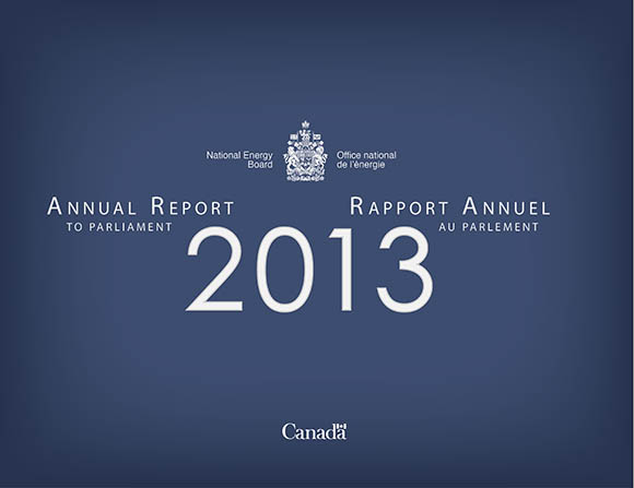 Rapport Annuel 2013 au Parlement
