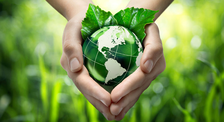 Hands holding green leaves and a green miniature globe