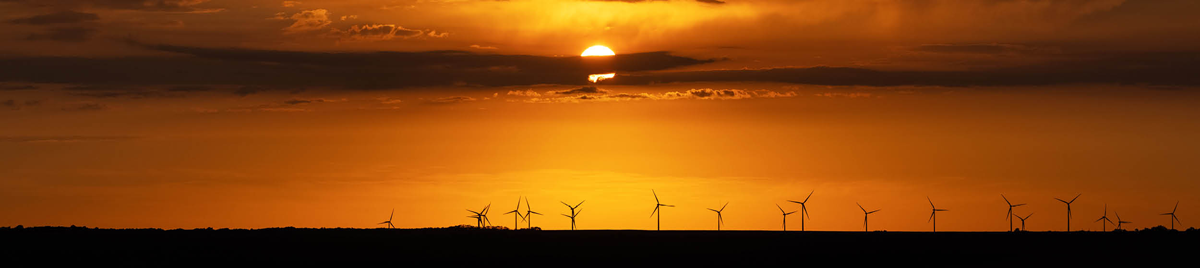 Horizon view of windmills at sunset