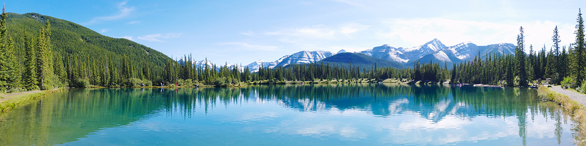 Un lac de montagne entouré d'arbres verts en été