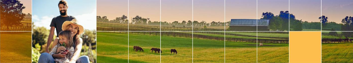 Bannière quadrillée avec pictogramme montrant un paysage agricole.