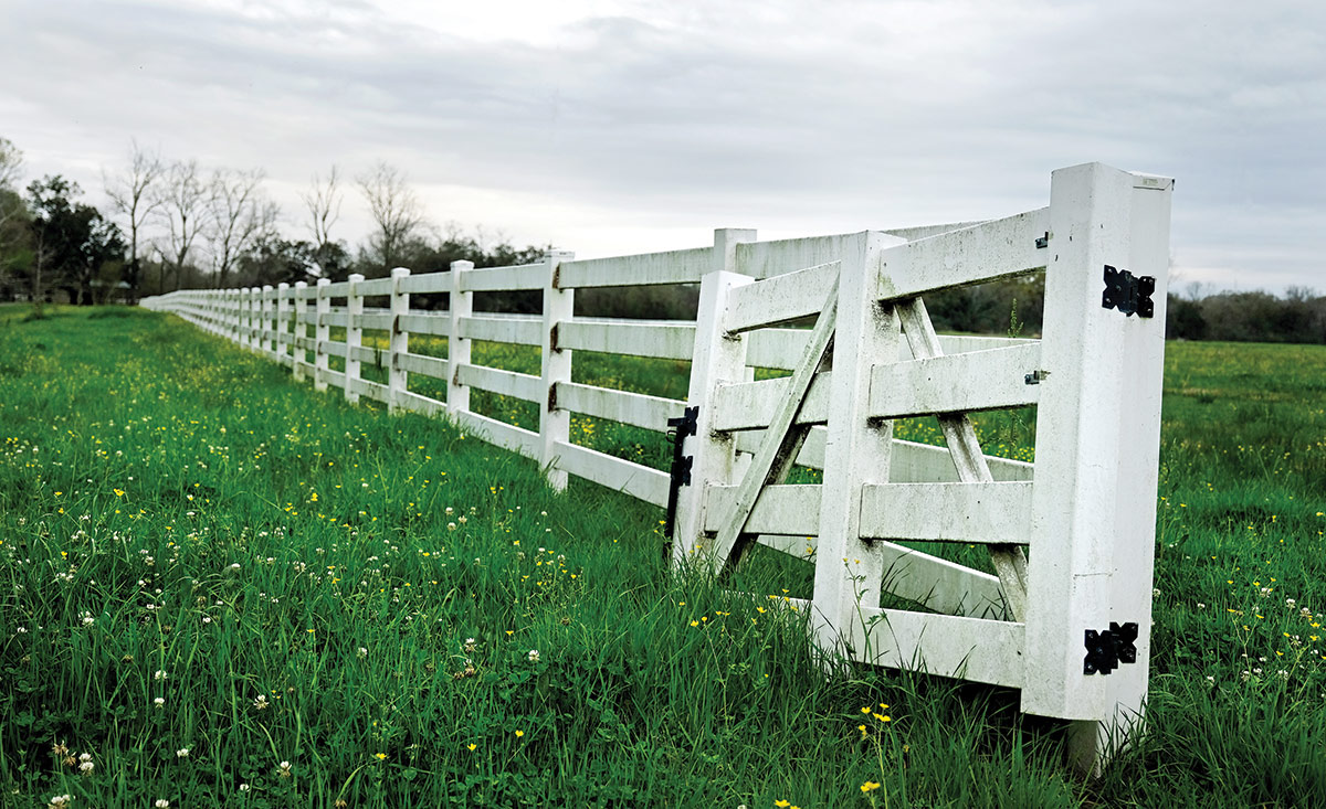 Figure 6 – Open gate and fence crossing an open field.