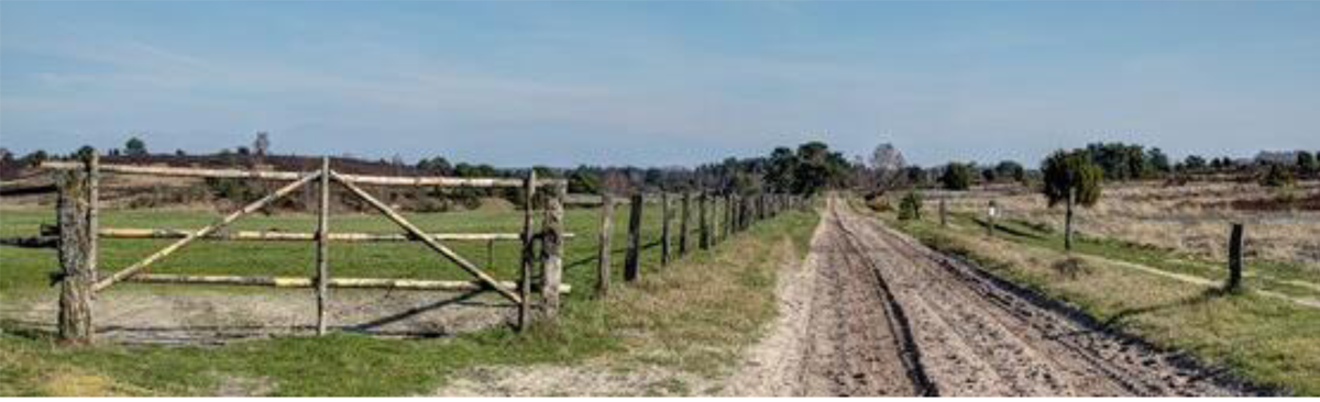 Figure 2 – Chemin de terre à travers un champ.