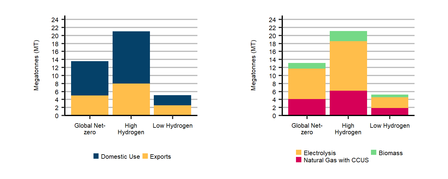 Figure R.41: Hydrogen use and production in 2050, Global Net-zero Scenario, and High and Low Hydrogen cases