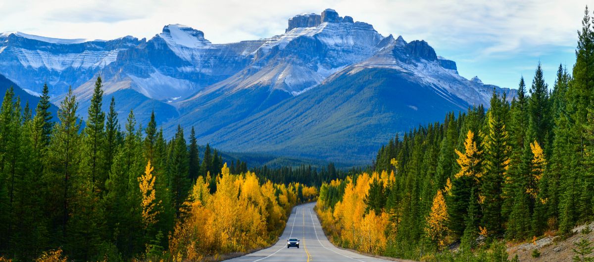Car drives away from snow-capped mountains in background with yellow and green trees at roadside.
