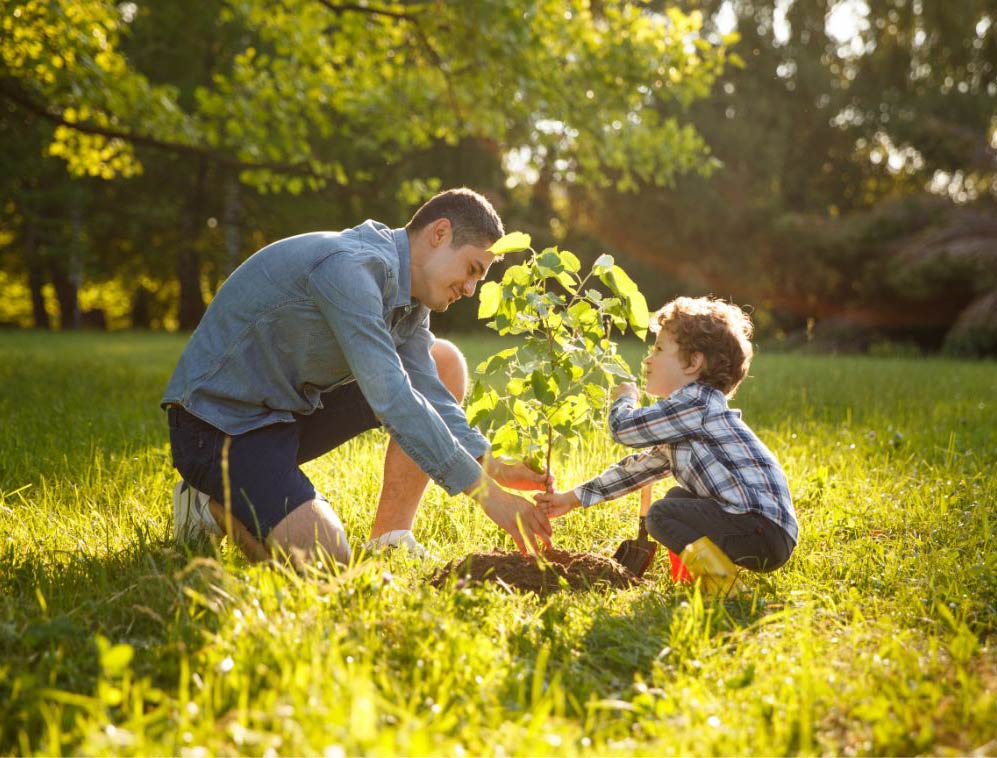 Un père et son fils plantant un petit arbre.