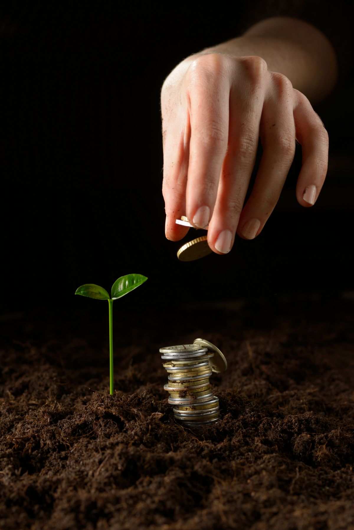 Main de femme plaçant une pièce sur une pile de pièces de monnaie dans la terre près d’une plante en croissance.