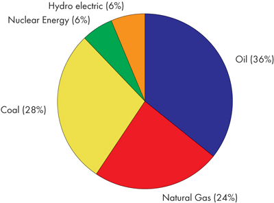 World Primary Energy Consumption by Fuel Type, 2006