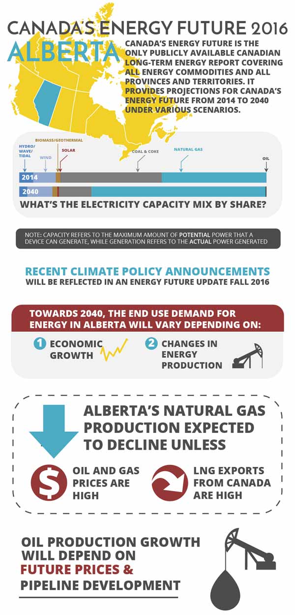 Infographic of key findings for Alberta