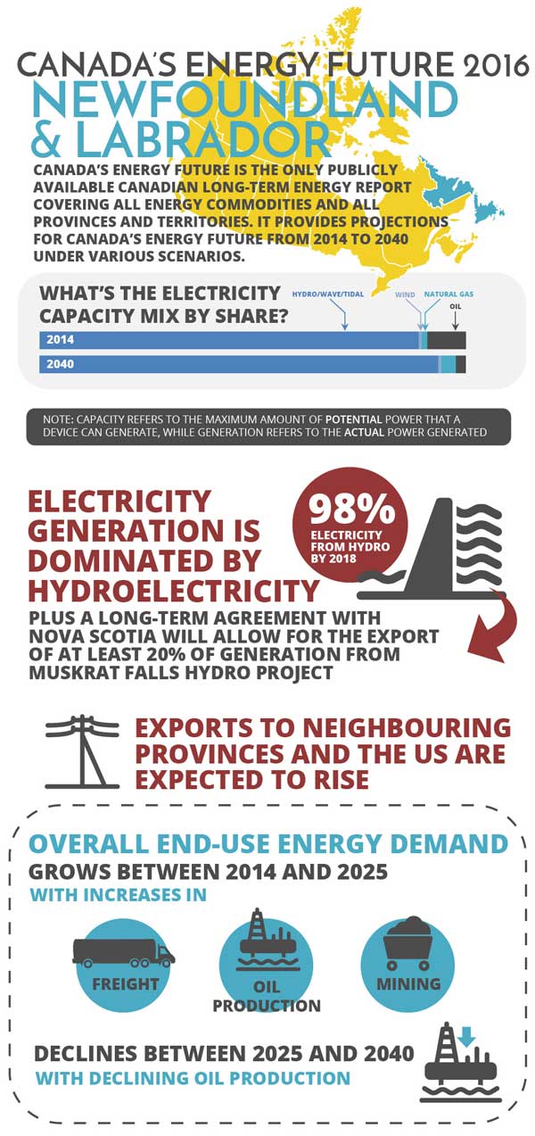 Infographic of key findings for Newfoundland and Labrador