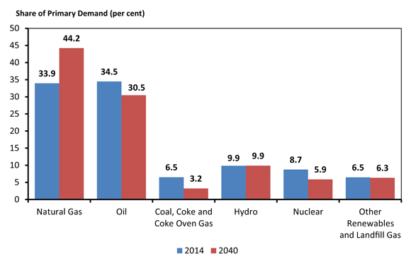 Figure 4.7 - Share of Fuel in Primary Energy Demand, Reference Case