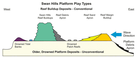 Figure 16 - Swan Hills Field reservoir types