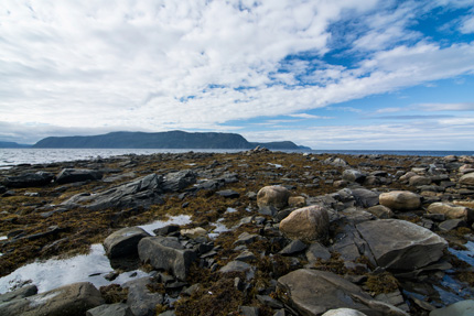 Rocky coastline at Gros Morne National Park on a cloudy day
