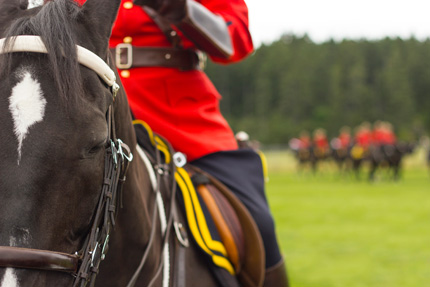 Partie d’un policier de la Gendarmerie royale du Canada sur son cheval.
