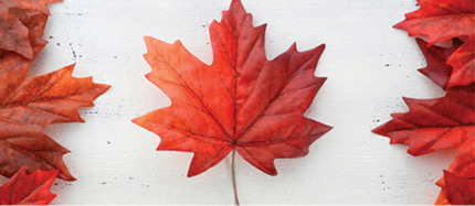 Le drapeau canadien réalisé avec des feuilles d’érable.