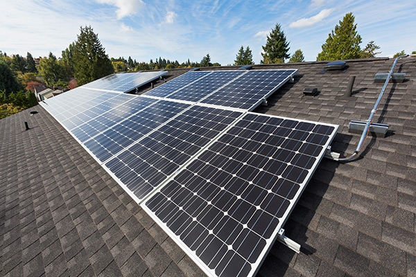 Solar panels arranged on top of a residential property. The tops of trees may be seen in the background.