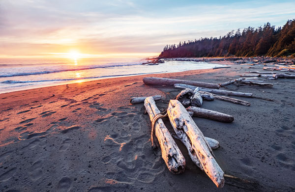 Beautiful sunset along a beach on the West Coast Trail of Vancouver Island.