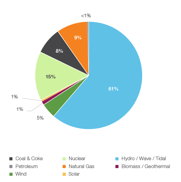 Figure 1: Electricity Generation by Fuel Type, 2018