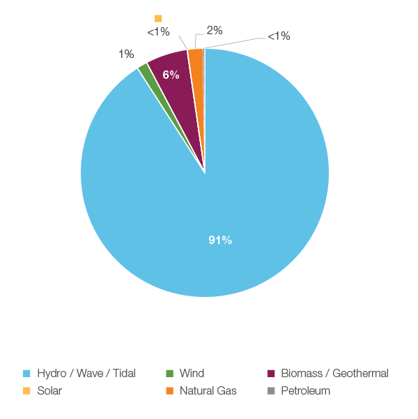 Figure 7: Electricity Generation by Fuel Type, 2018