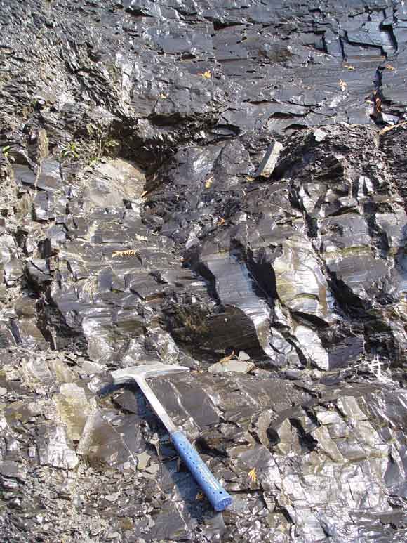 Figure 4: Schistes d’Utica fortement fracturés près de la chute Montmorency, au Québec