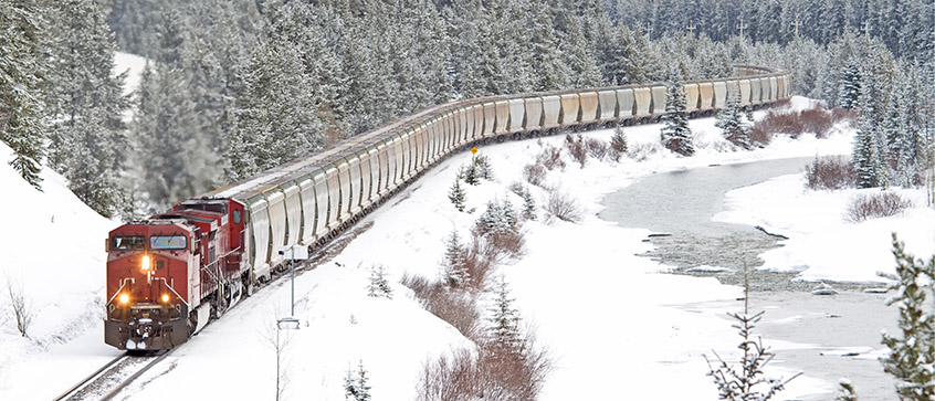 A transport train travels towards the camera through a snowy forest on a winter day.