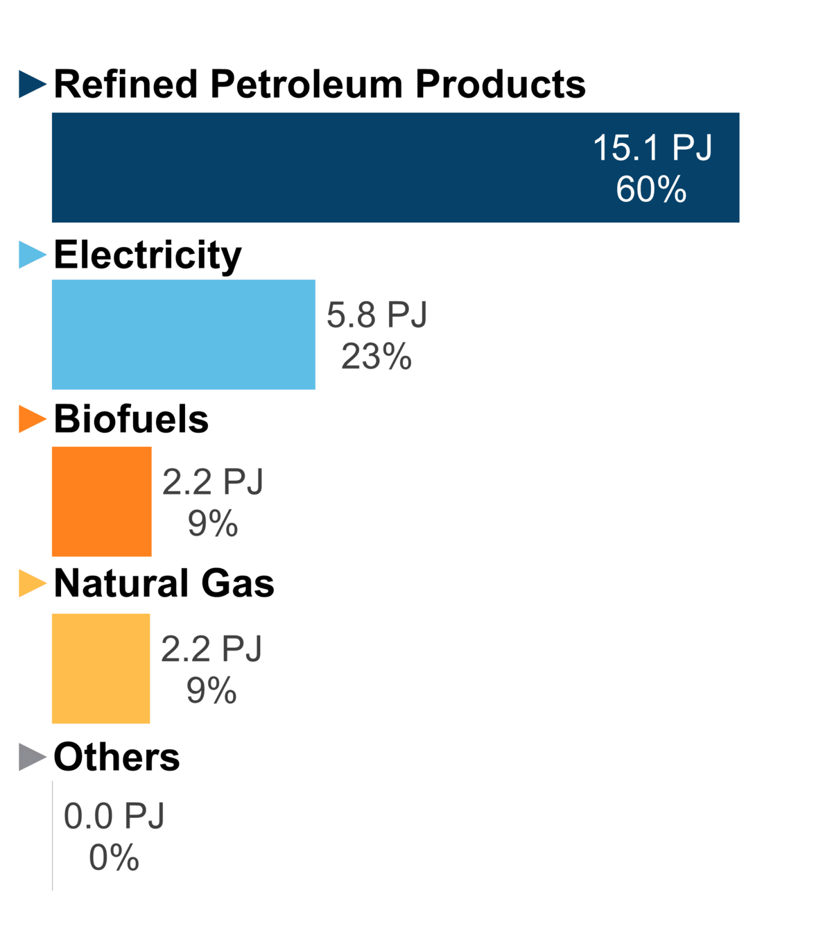 Figure 4: End-Use Demand by Fuel (2020)
