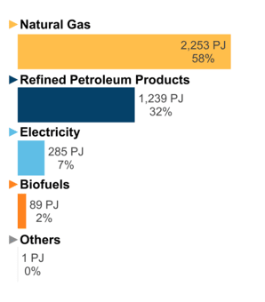 Figure 6: End-Use Demand by Fuel (2019)