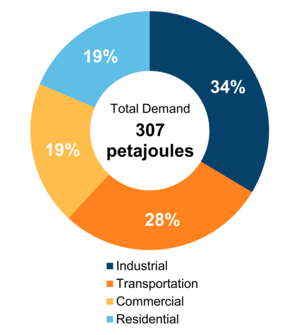 Figure 5: End-Use Demand by Sector (2019)