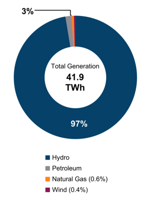 Figure 2: Electricity Production (2019)