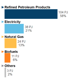Figure 5: End-Use Demand by Fuel (2019)