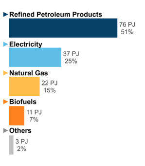 Figure 5: End-Use Demand by Fuel (2019)