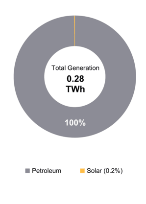 Figure 1: Electricity Generation by Fuel Type (2019)